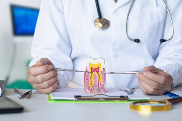 Best Emergency Care for Gum Disease in Holly Lake Ranch, TX